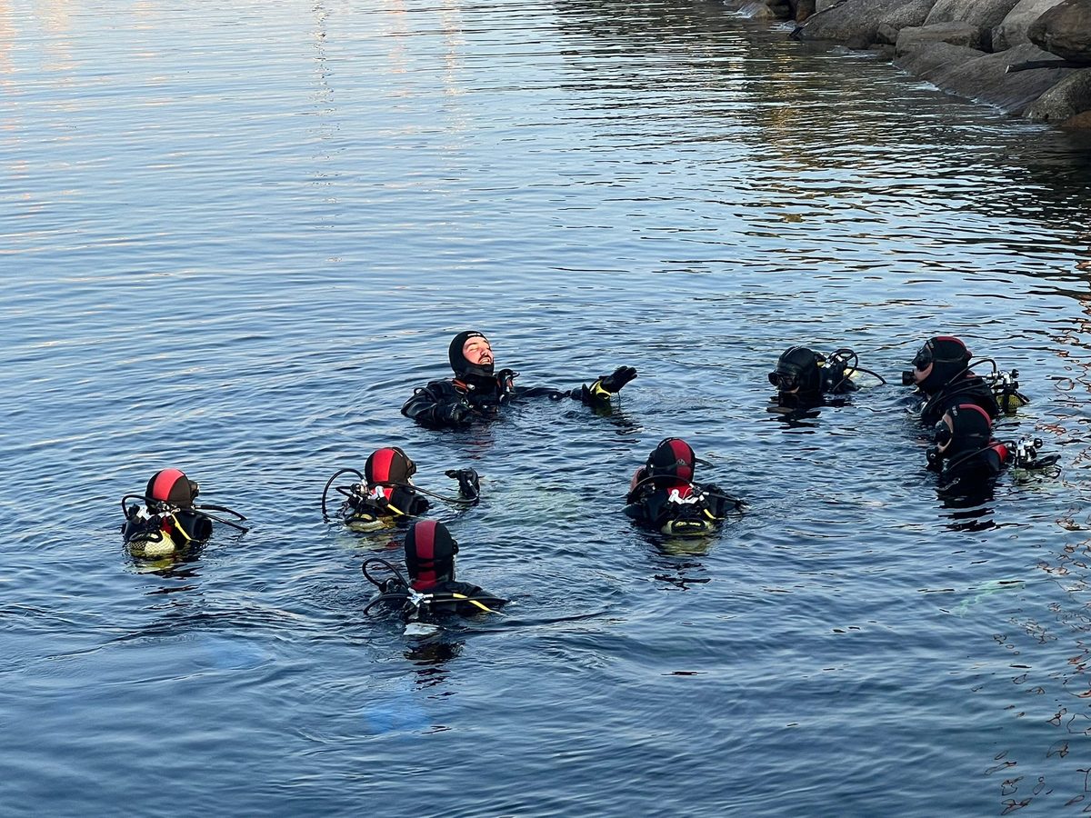 Grupo de buceadores en superficie durante un curso